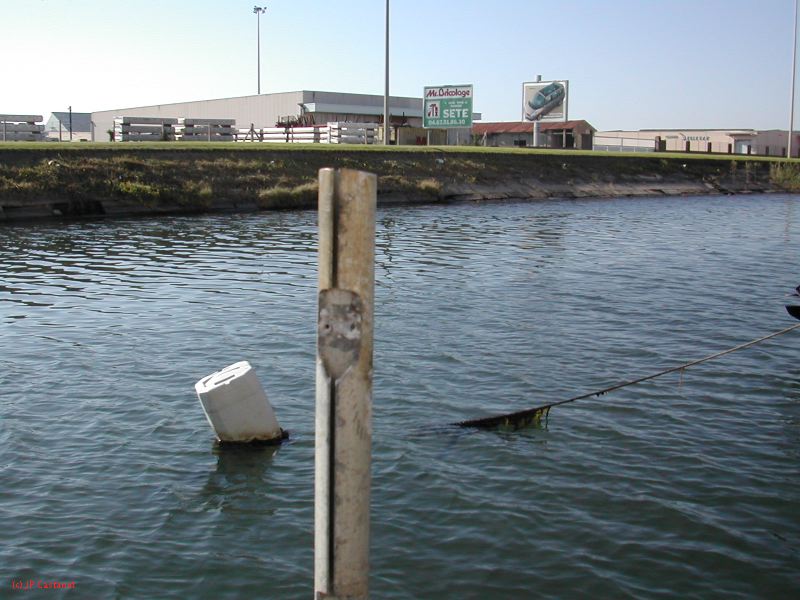 DSCN2192.JPG