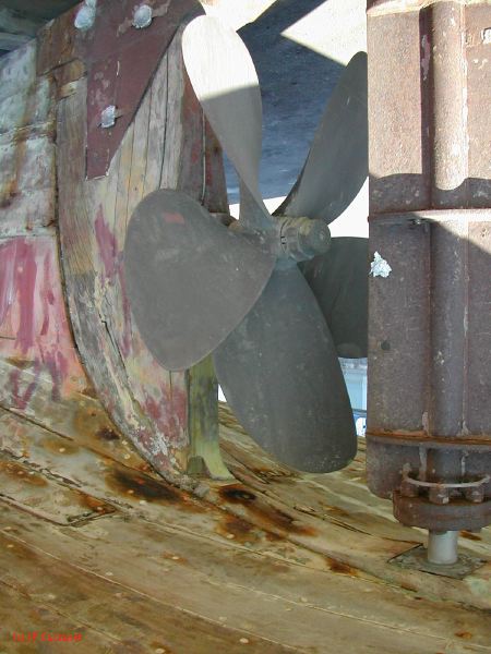 DSCN2253.JPG