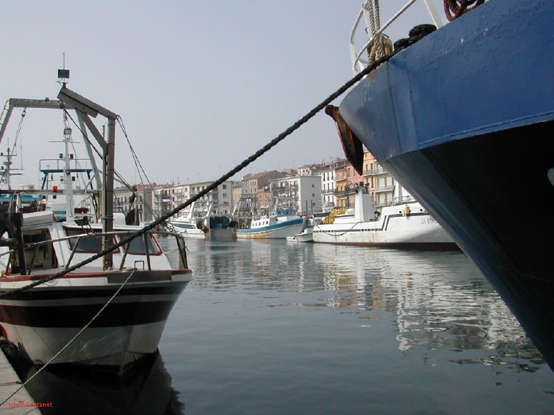 DSCN3406.JPG