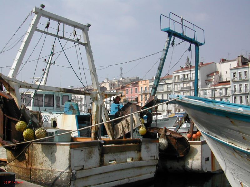 DSCN3409.JPG