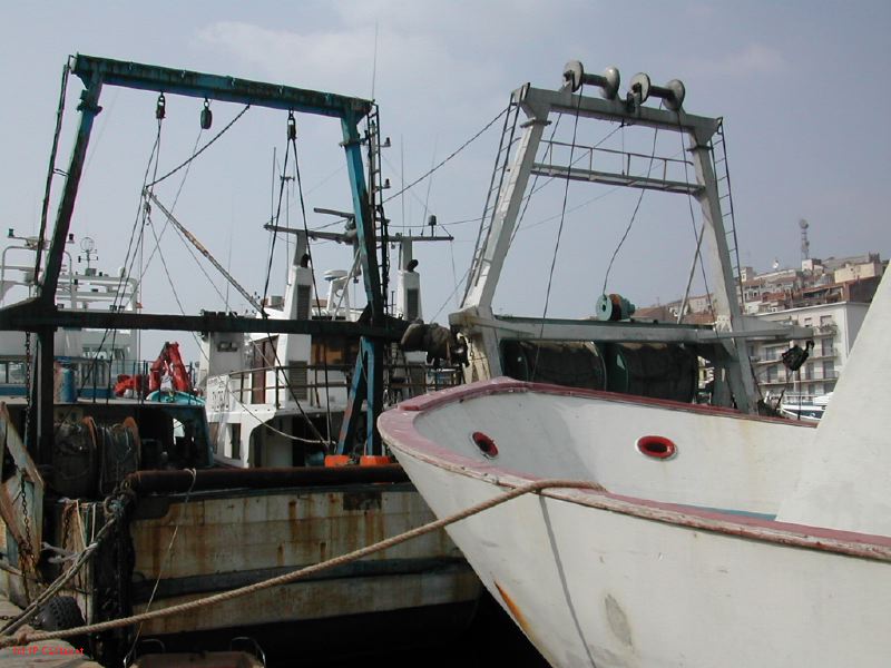 DSCN3416.JPG
