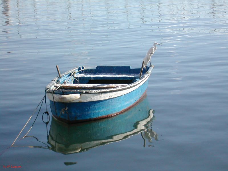 DSCN0350.JPG