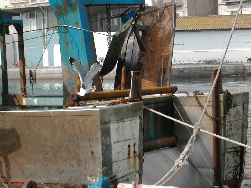 DSCN3438.JPG