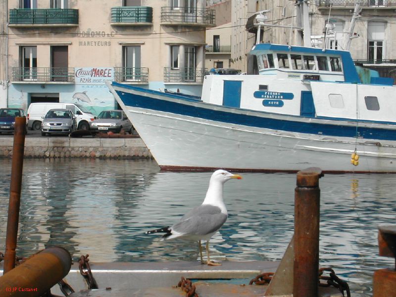 DSCN3440.JPG