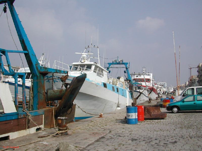 DSCN3441.JPG