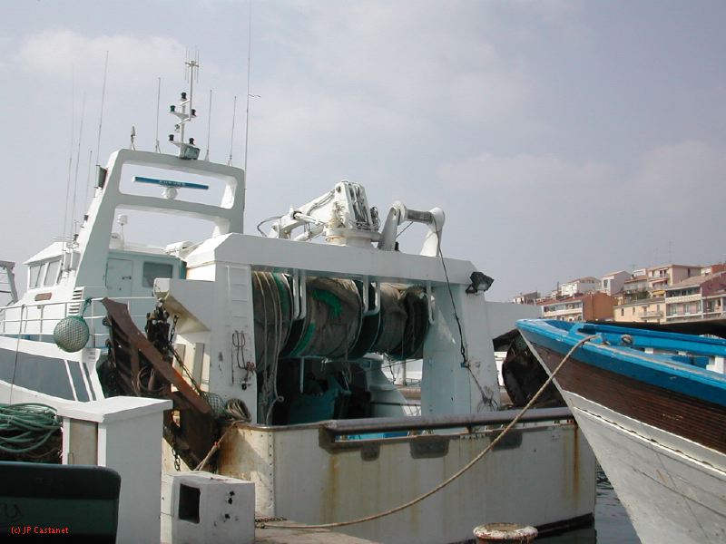 DSCN3442.JPG