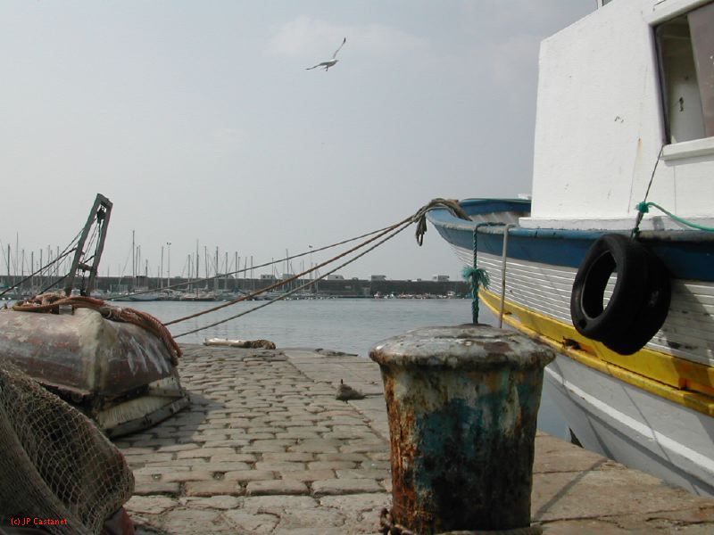 DSCN3448.JPG