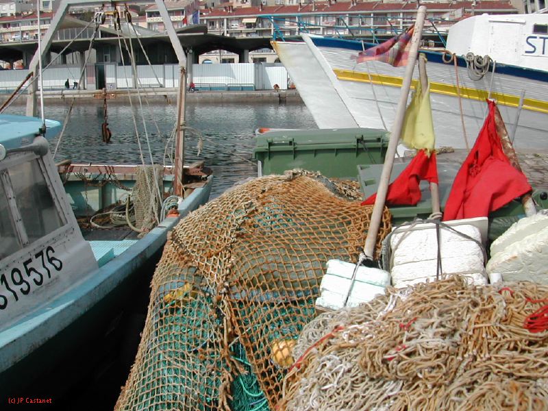 DSCN3450.JPG