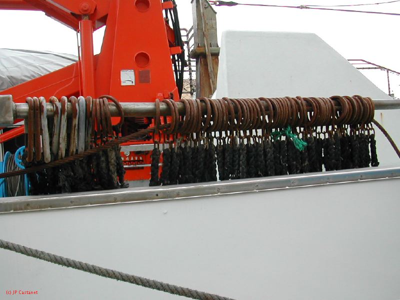DSCN0487.JPG
