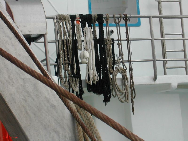 DSCN0489.JPG