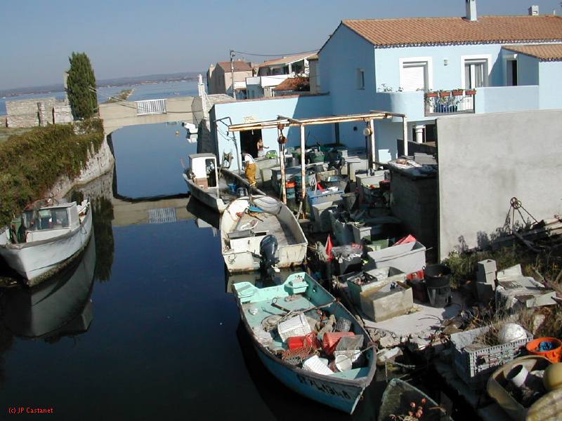 DSCN1788.JPG