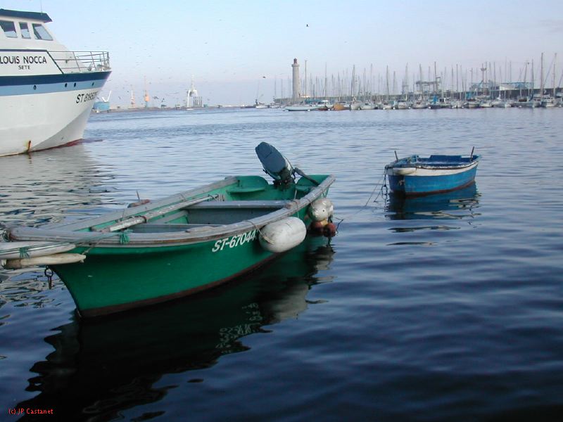 DSCN0132.JPG