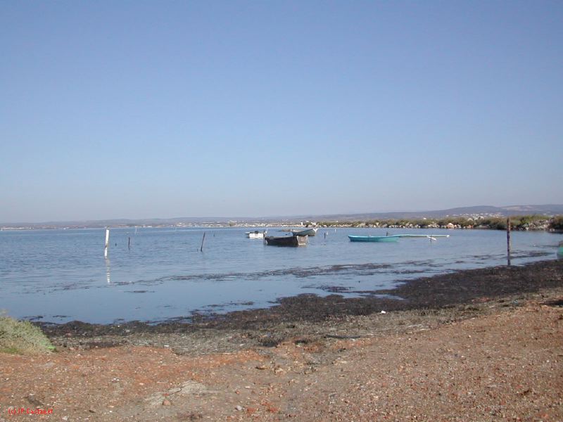 DSCN1796.JPG
