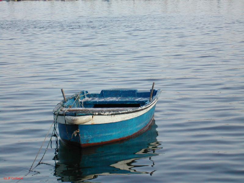 DSCN0134.JPG