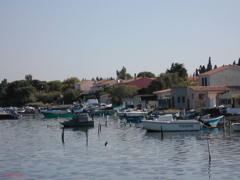 DSCN1805.JPG