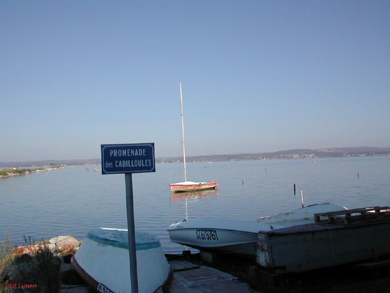 DSCN1815.JPG