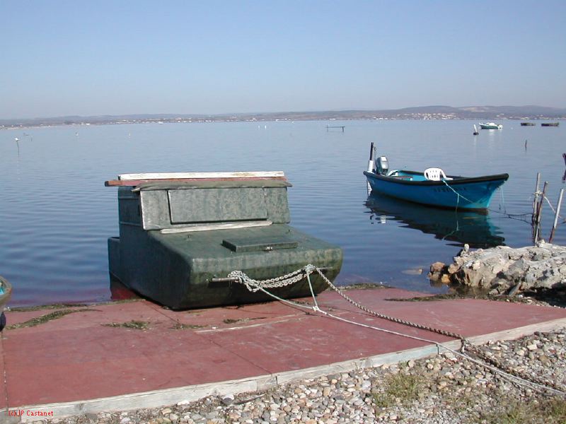 DSCN1818.JPG