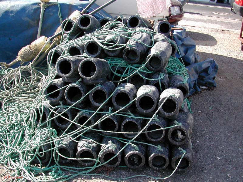 DSCN2097.JPG