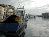 DSCN0146.JPG