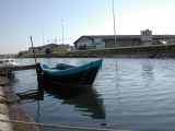 DSCN2186.JPG