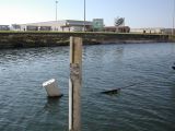 DSCN2192.JPG
