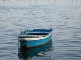 DSCN0134.JPG