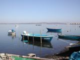 DSCN1820.JPG