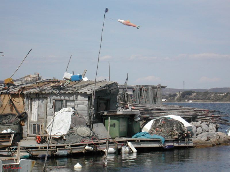 DSCN3780.JPG