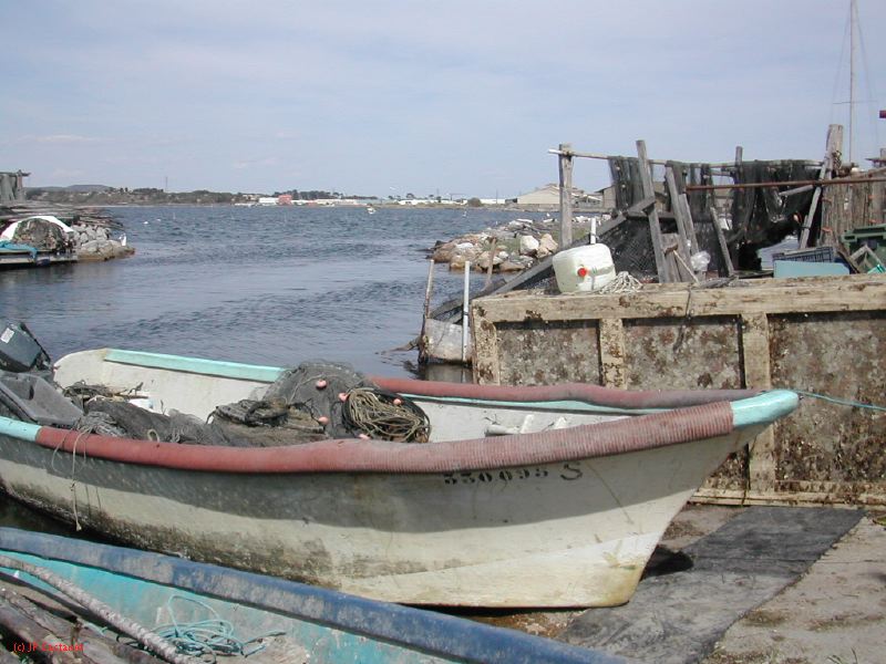 DSCN3781.JPG
