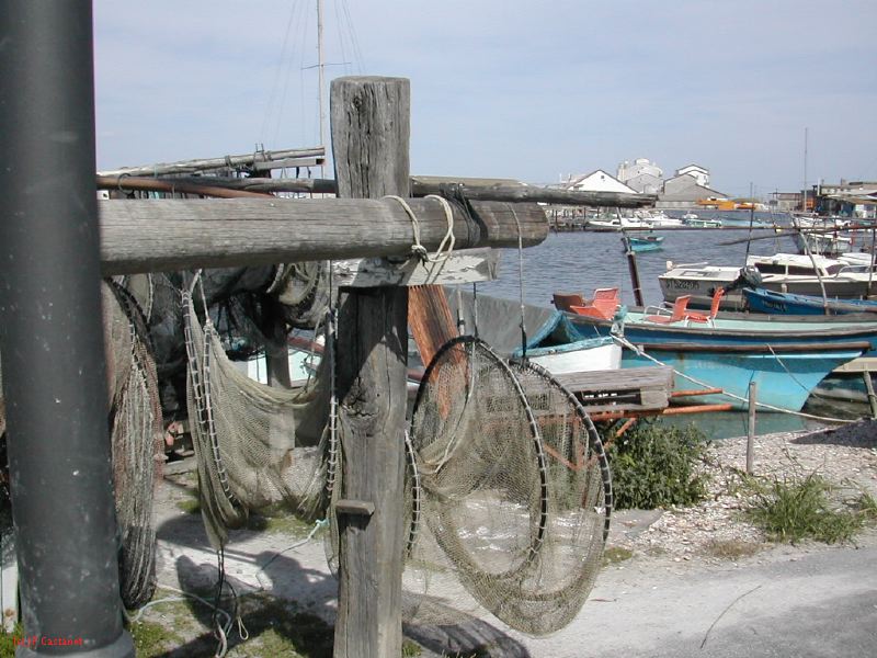 DSCN3785.JPG