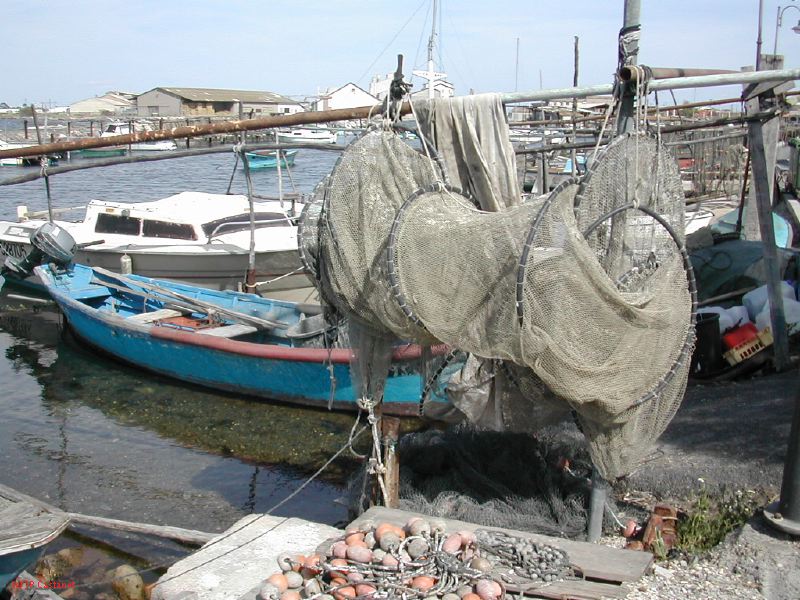 DSCN3789.JPG