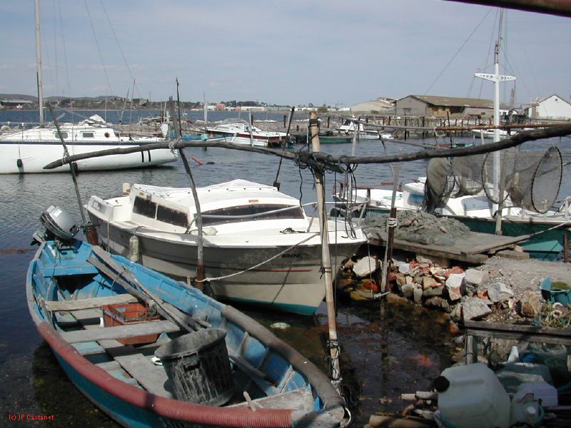 DSCN3790.JPG