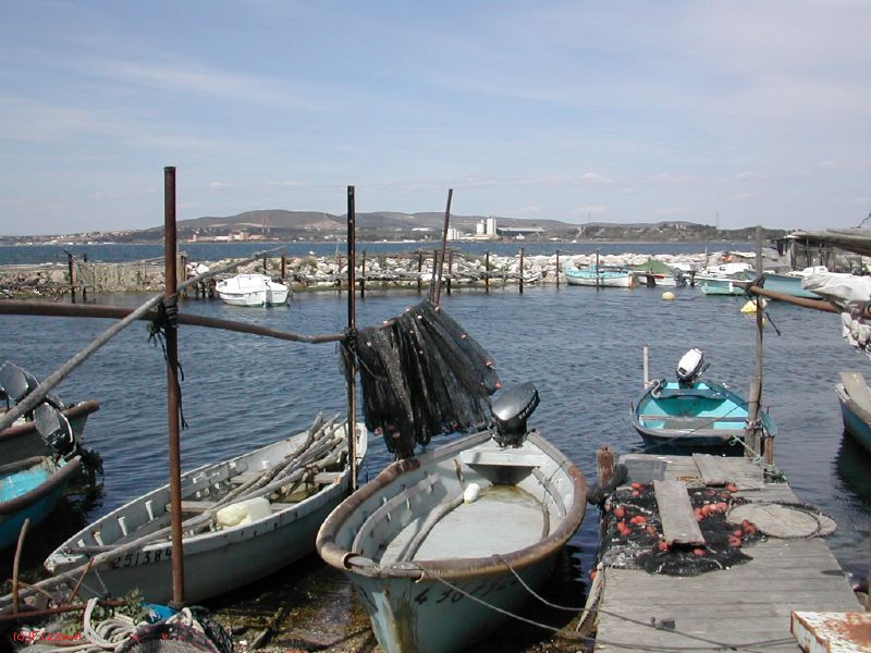 DSCN3800.JPG