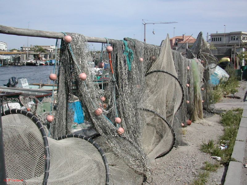 DSCN3802.JPG