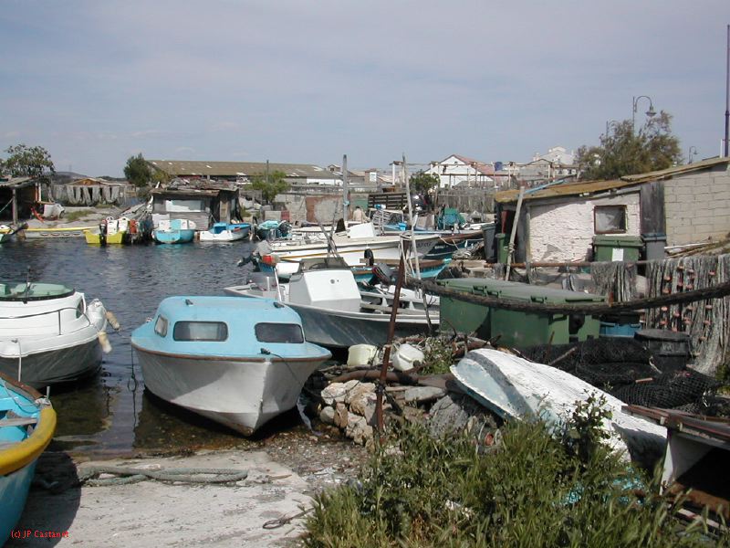 DSCN3808.JPG