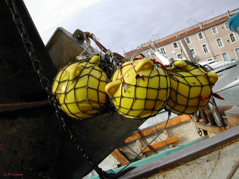 DSCN3558.JPG