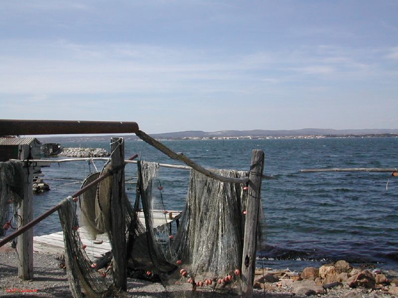 DSCN3817.JPG