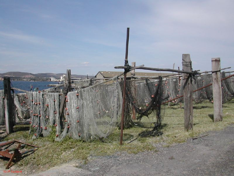 DSCN3818.JPG
