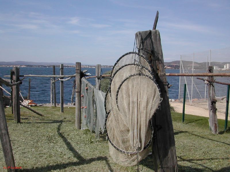 DSCN3820.JPG