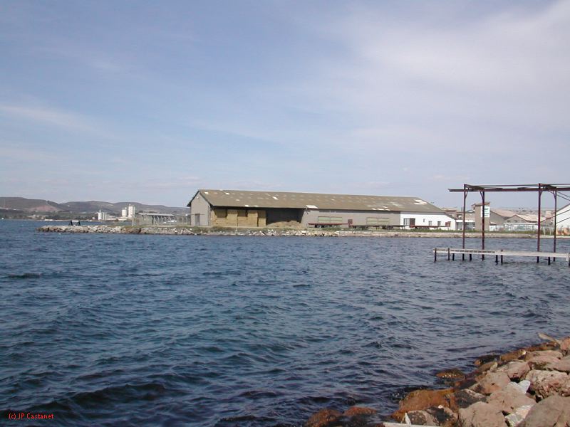 DSCN3822.JPG