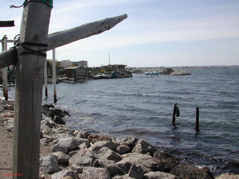 DSCN3824.JPG
