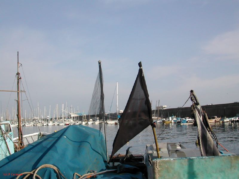 DSCN8473.JPG