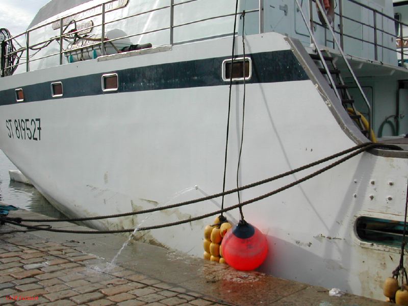 DSCN3563.JPG