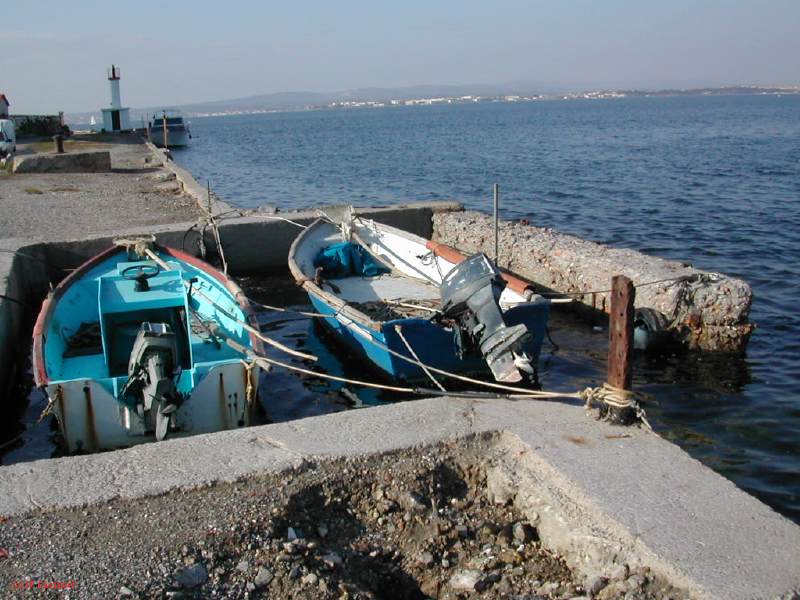 DSCN8530.JPG