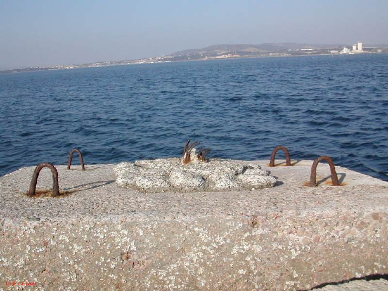 DSCN8540.JPG