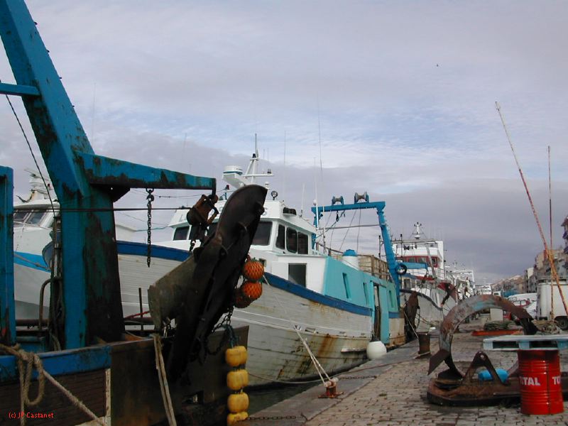 DSCN3575.JPG