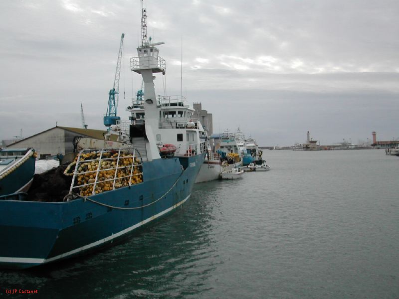DSCN3600.JPG