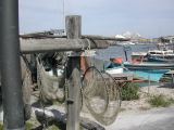 DSCN3785.JPG