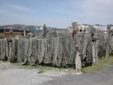 DSCN3816.JPG