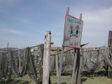 DSCN3819.JPG